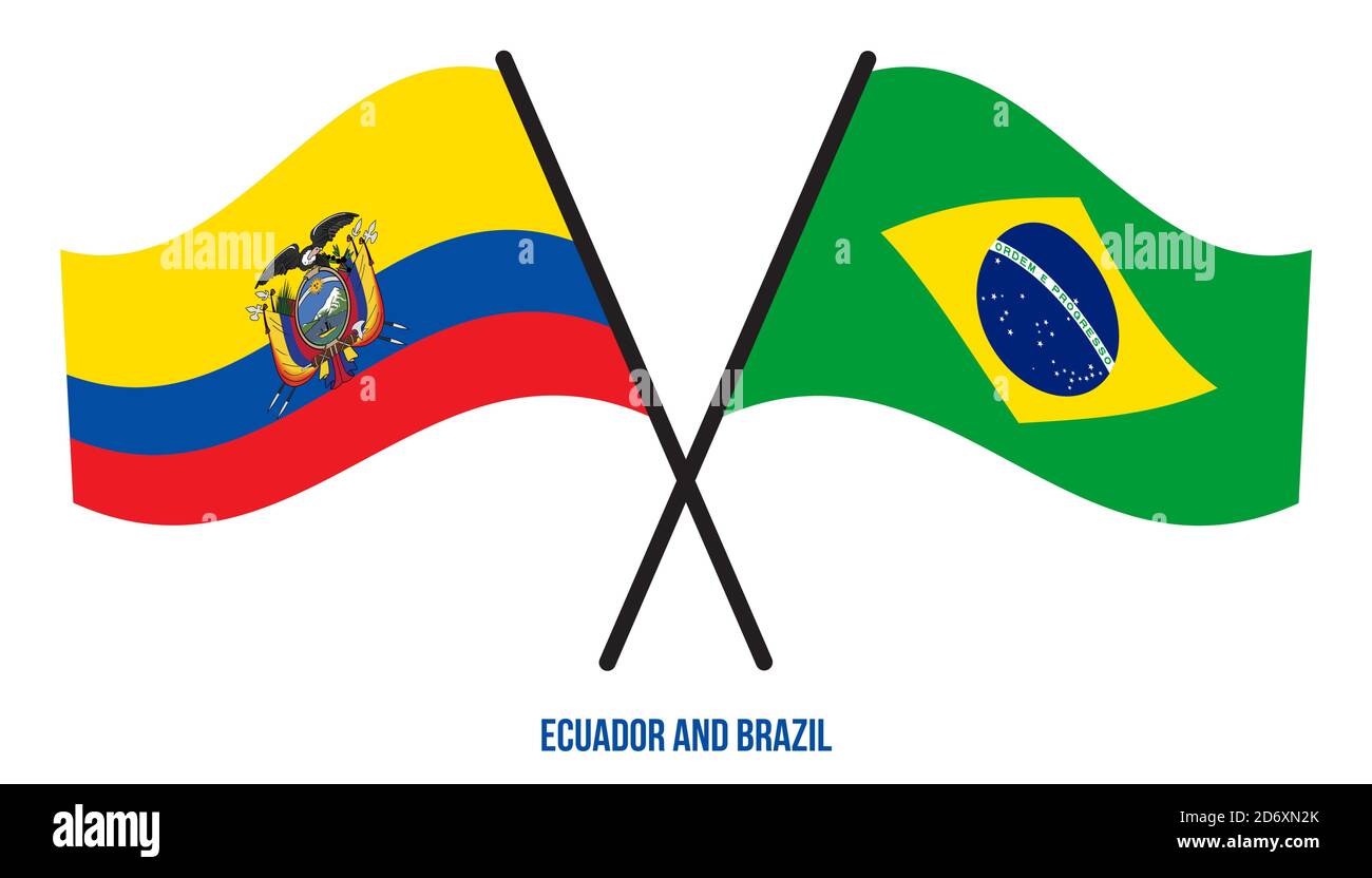 Ecuador vs brazil Stock Vector Images Alamy