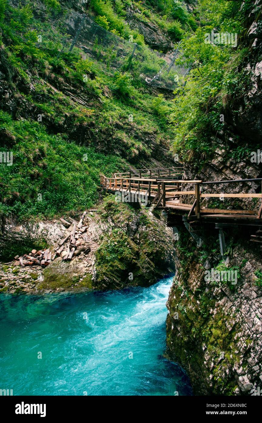 Vintgar gorge, beauty of nature, mountain river Radovna flowing through it, near Bled, Slovenia Stock Photo