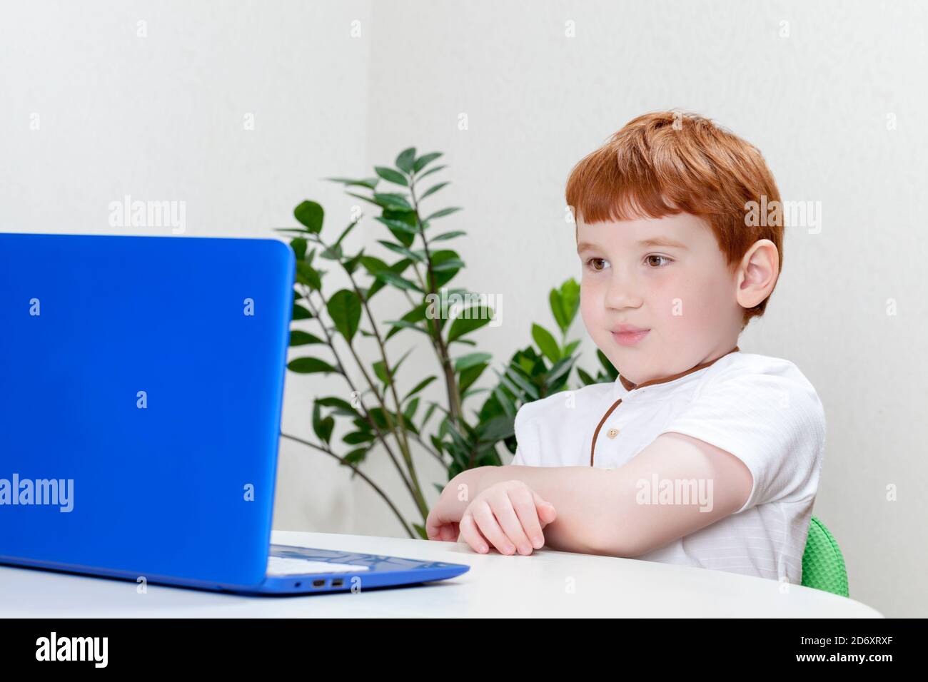 a boy with red hair working on a computer or studying, a close-up photo ...