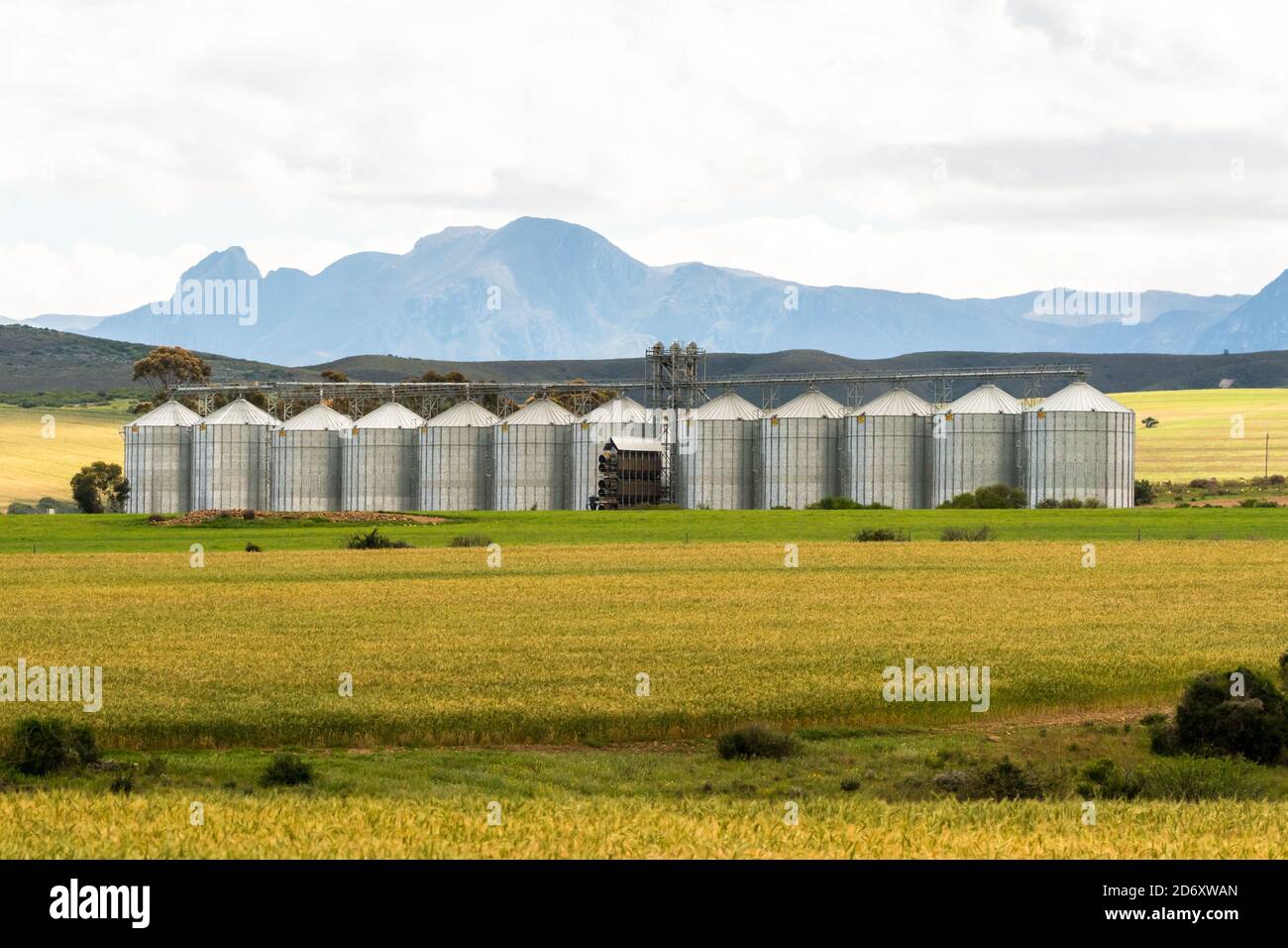 row of grain silos for storage on a farm in Swellendam, South Africa concept agriculture in