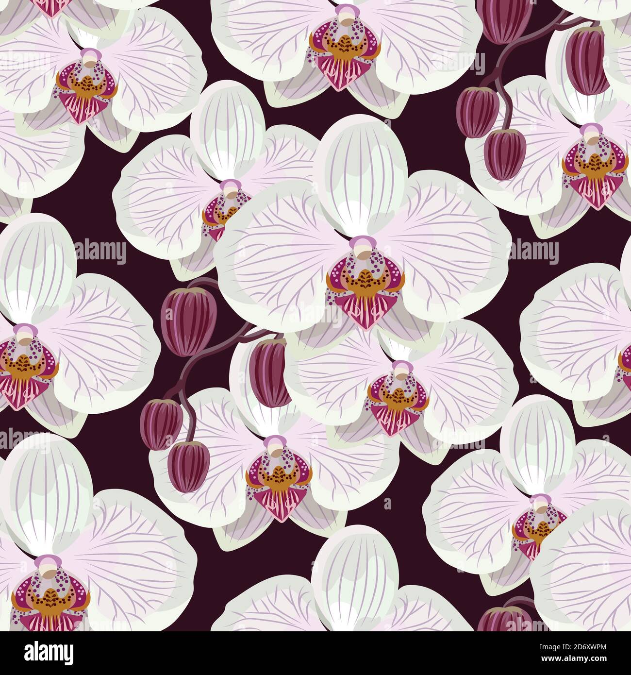 Seamless pattern with white orchids on black background Stock Vector ...