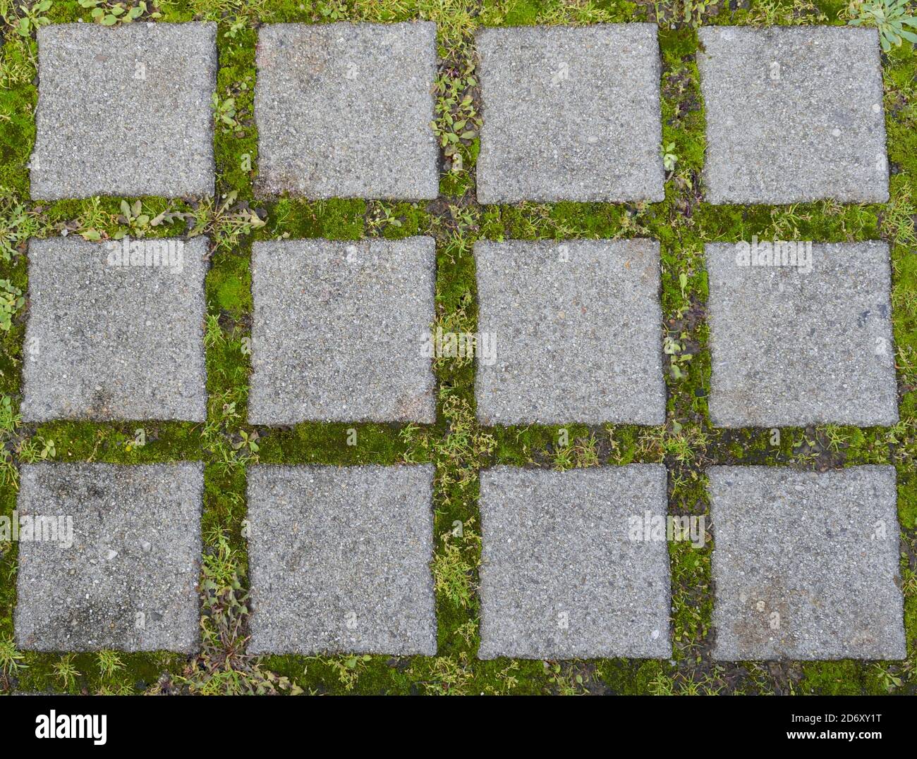 Stone Pathway Walkway or Pavement Textured Background With Grass and ...