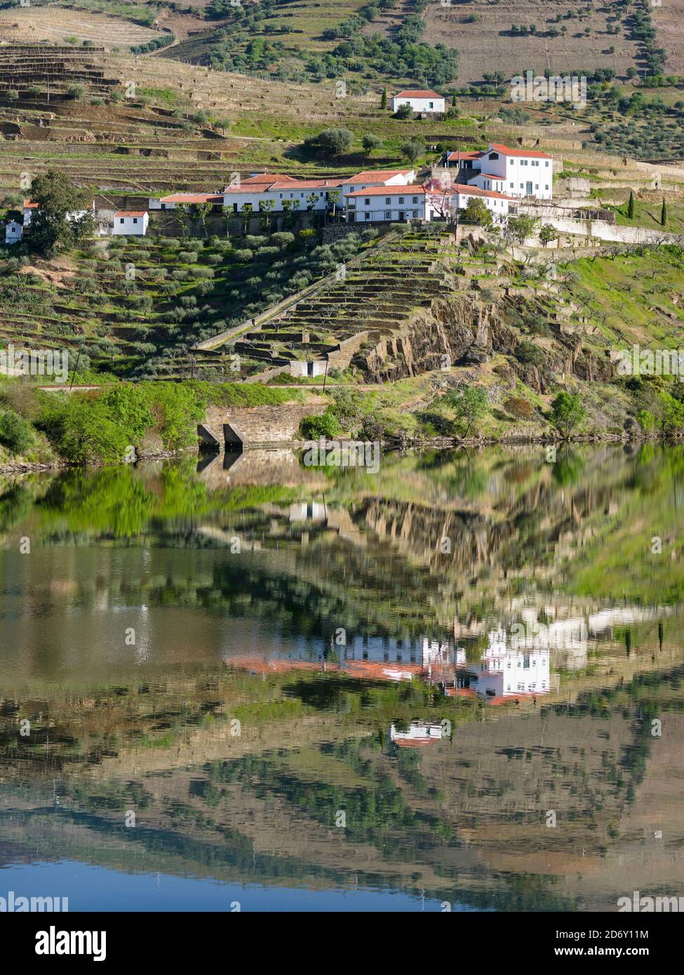 Vineyard and estate at river Douro. The valley of river Douro. It is