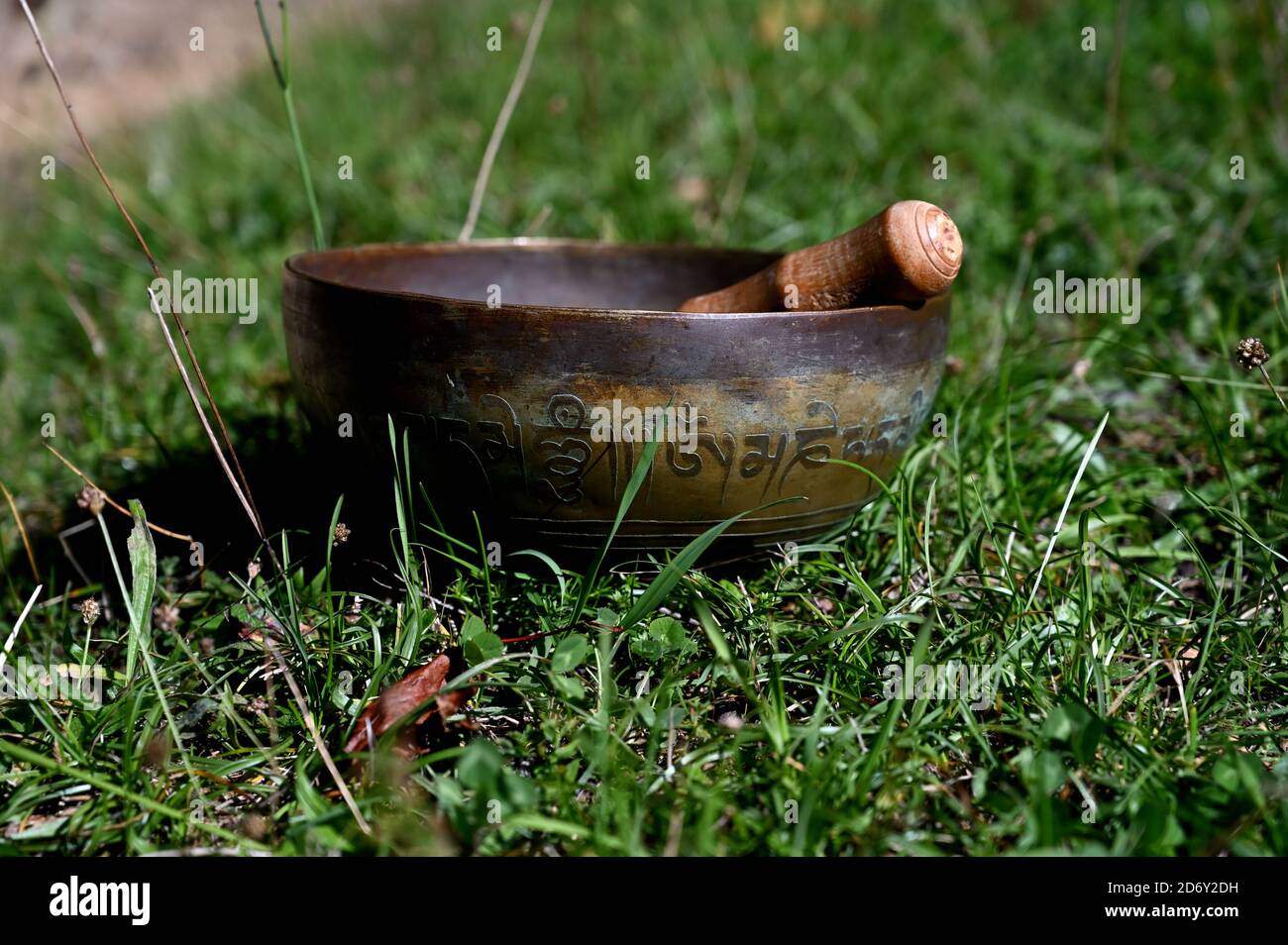 Tibetan singing bowl. in a natural environment Stock Photo