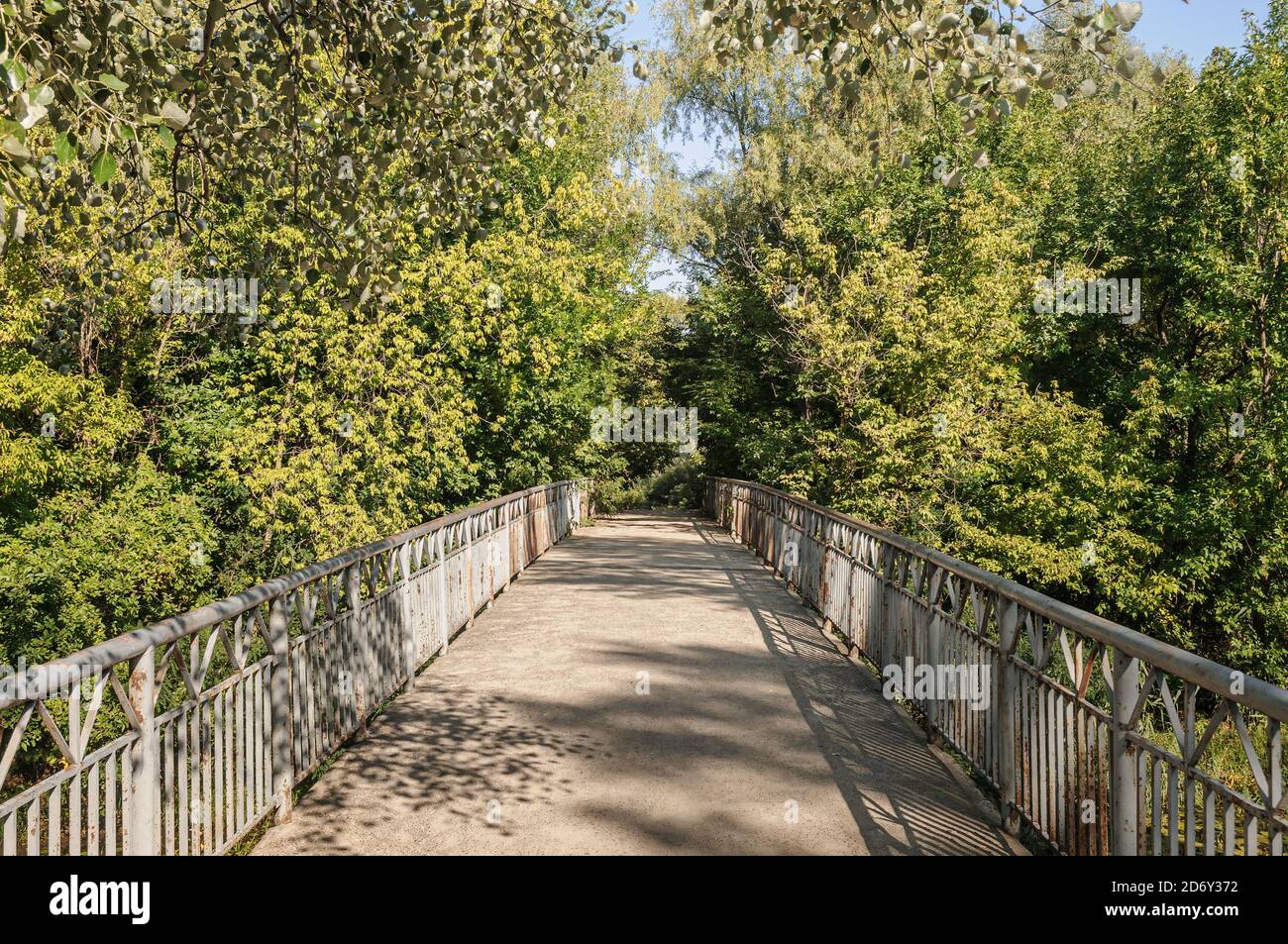 A bridge through the trees in the Ukrainian country side, during summer Stock Photo