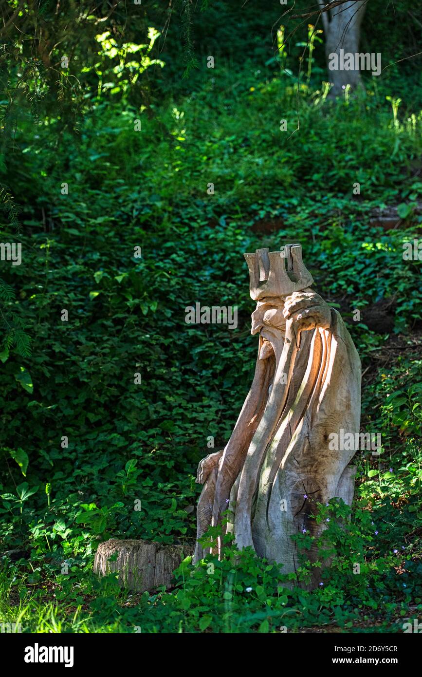 Garden Wizard carving with green wood background and beautiful filtered sunlight illuminating