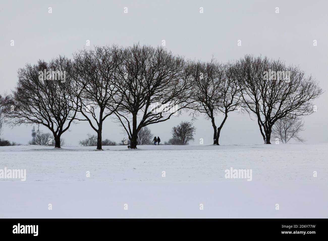 Silhouetted walkers in the distance between trees Stock Photo
