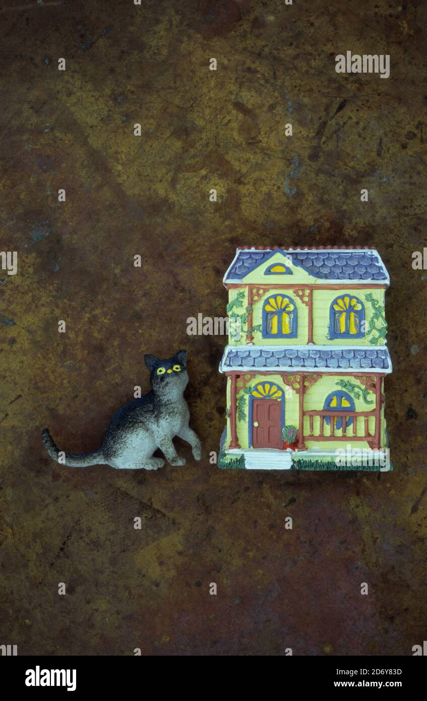 Models of house with veranda with large cat with yellow eyes sitting outside Stock Photo