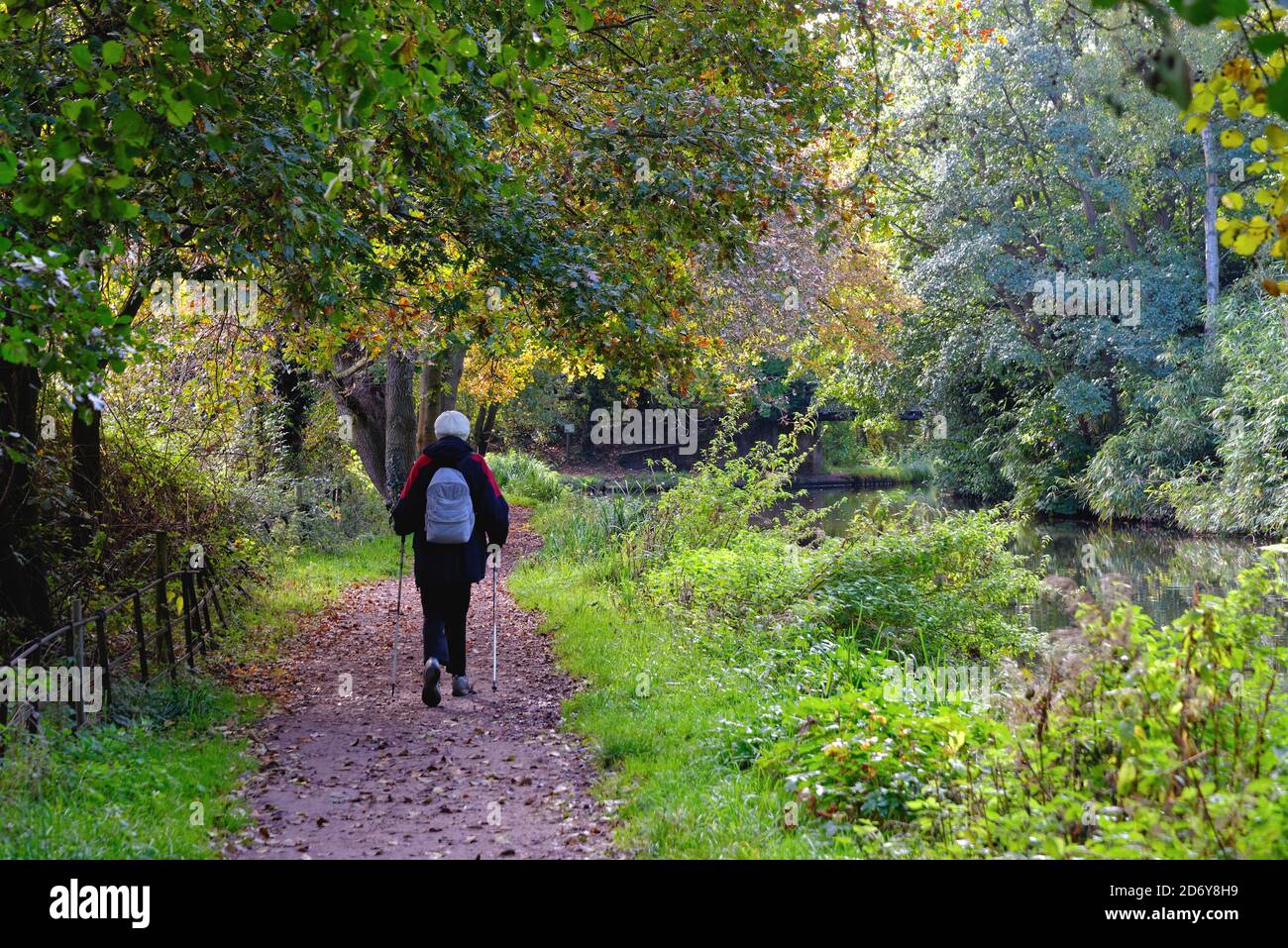 An elderly woman using walking poles while rambling on the towpath by the River Wey Navigation canal on a sunny autumnal day,Byfleet Surrey England UK Stock Photo