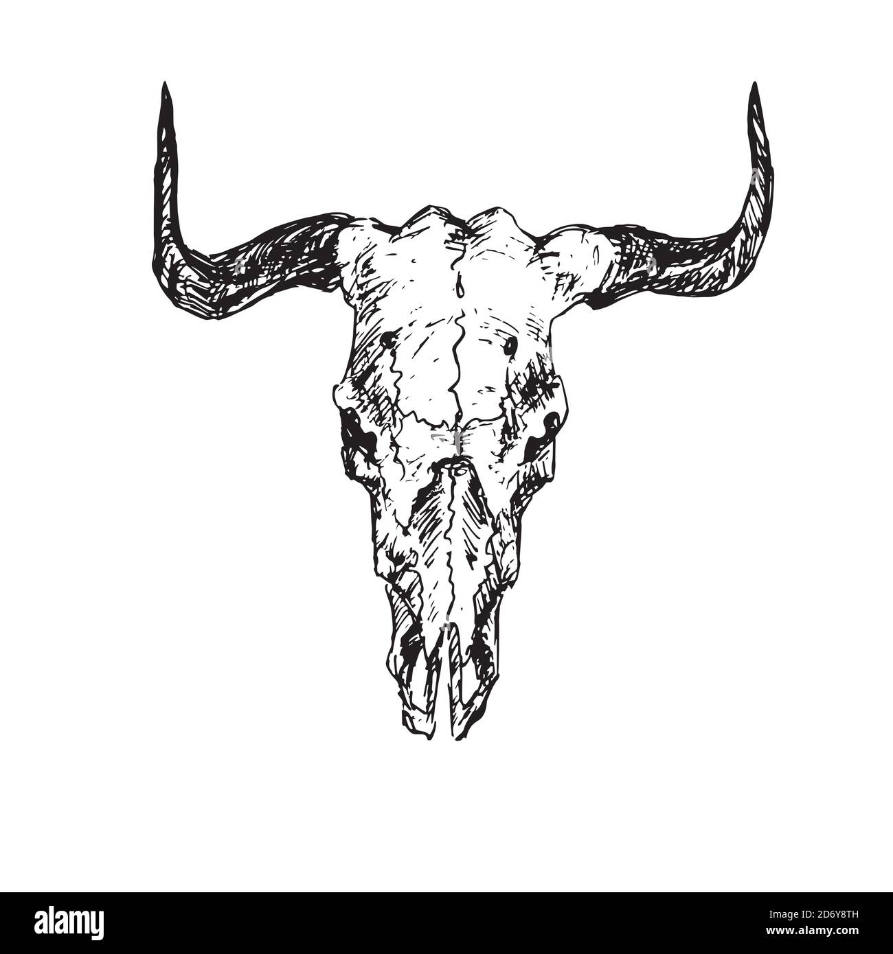Skull of bull with horns, hand drawn ink doodle, sketch, outline illustration Stock Photo Alamy