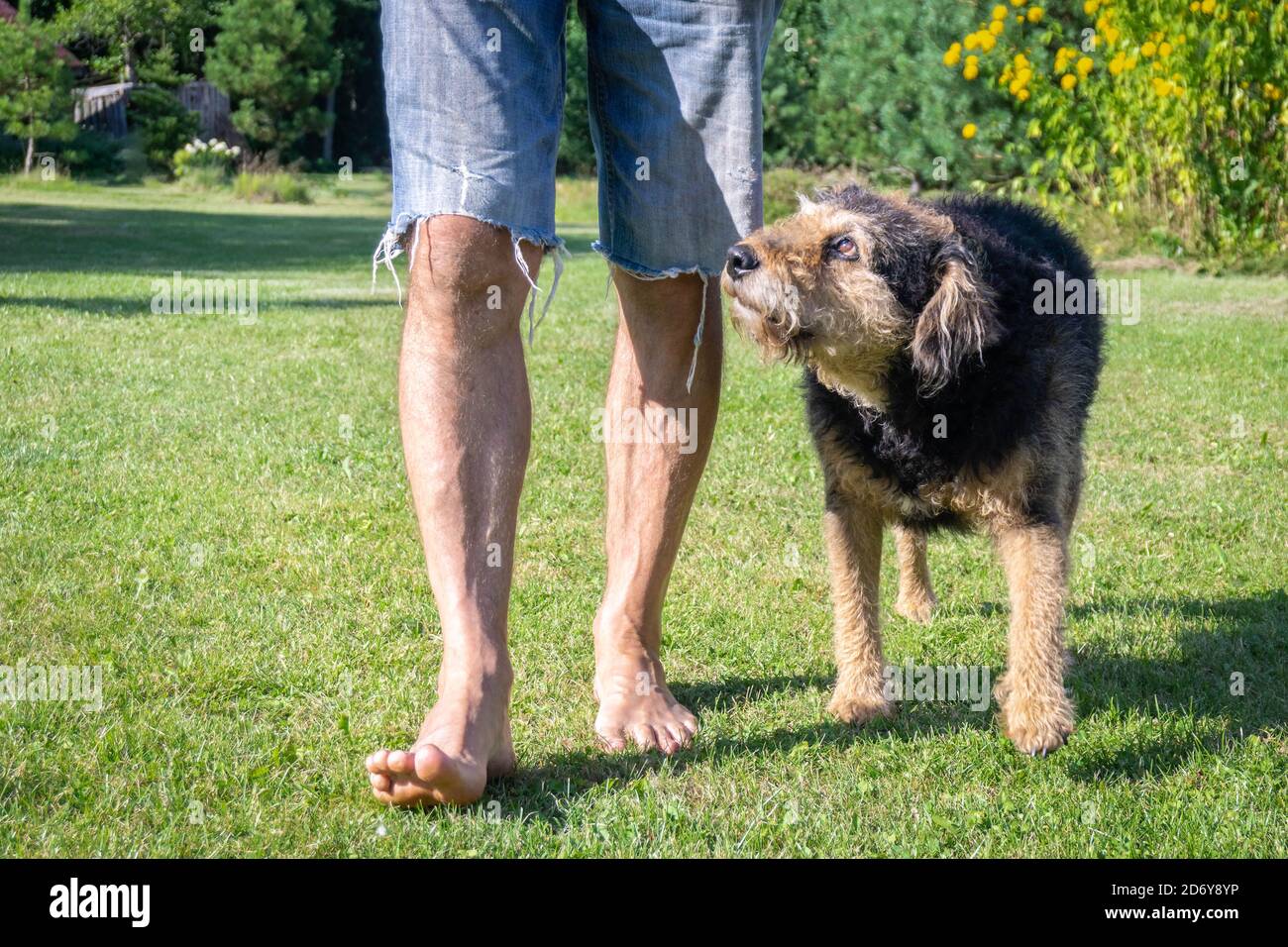 Jeans shorts barefoot hi-res stock 