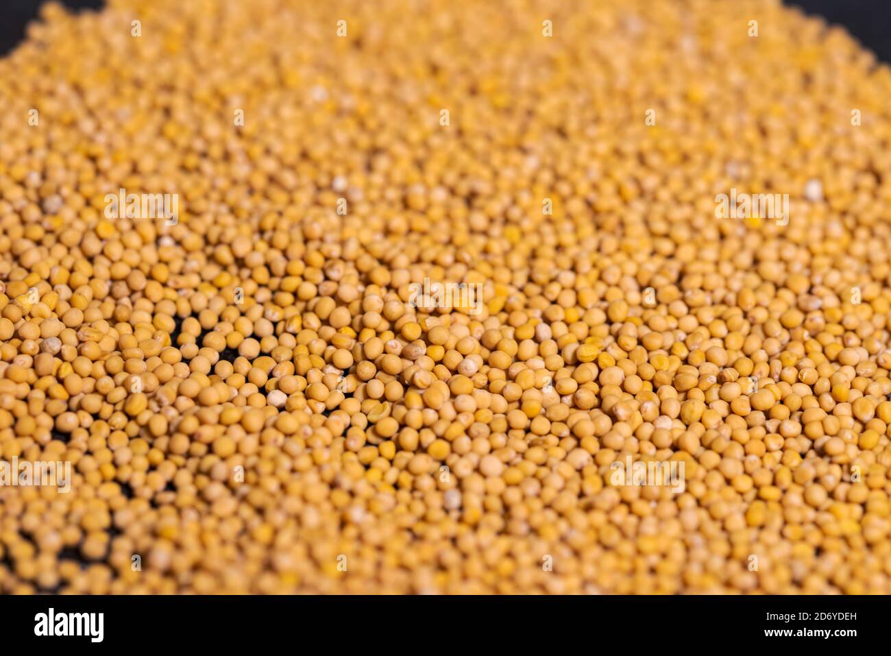 Grain mustard in pot hi-res stock photography and images - Alamy