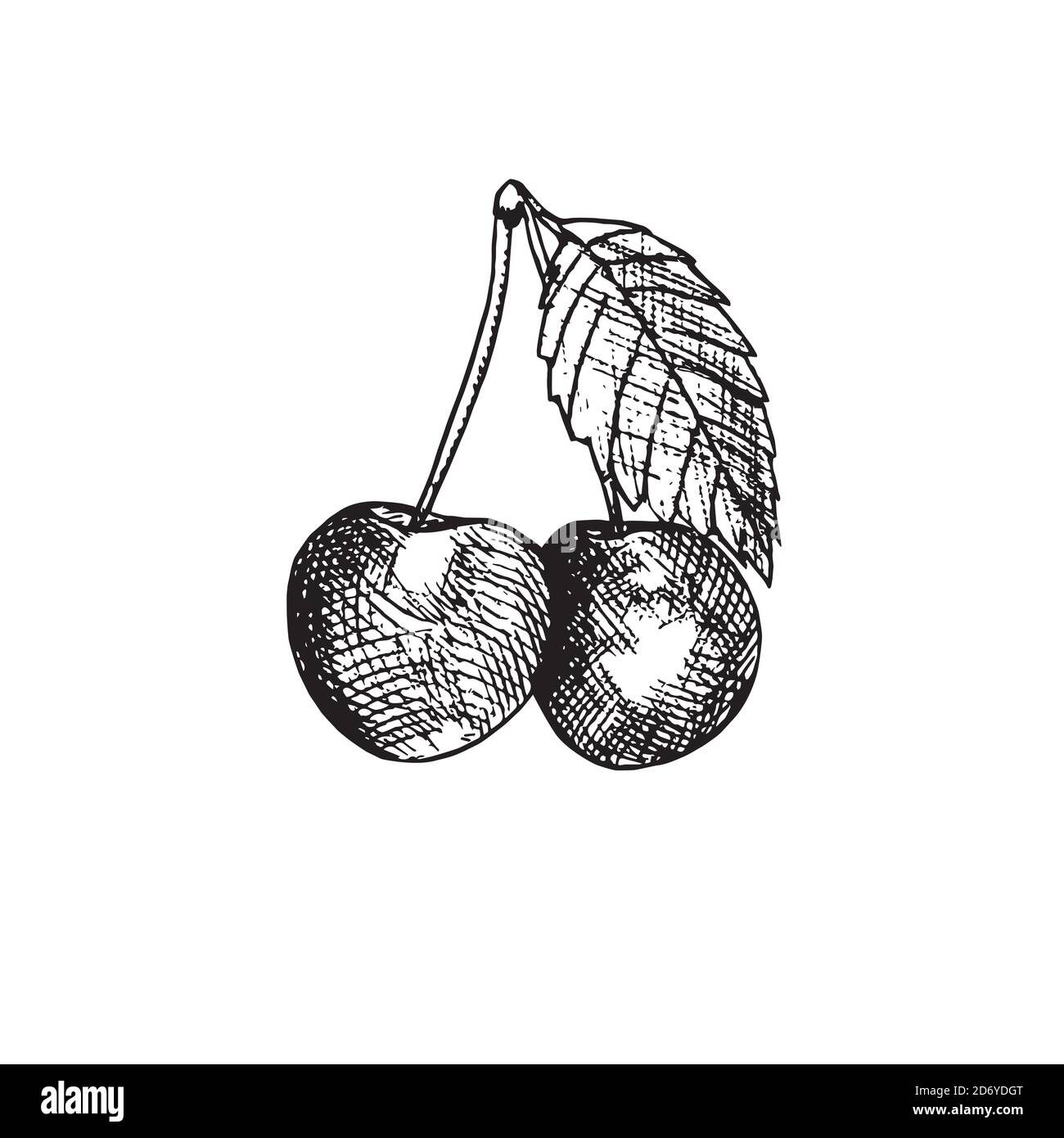 Cherry with leaf, hand drawn doodle, sketch, outline black and white ...