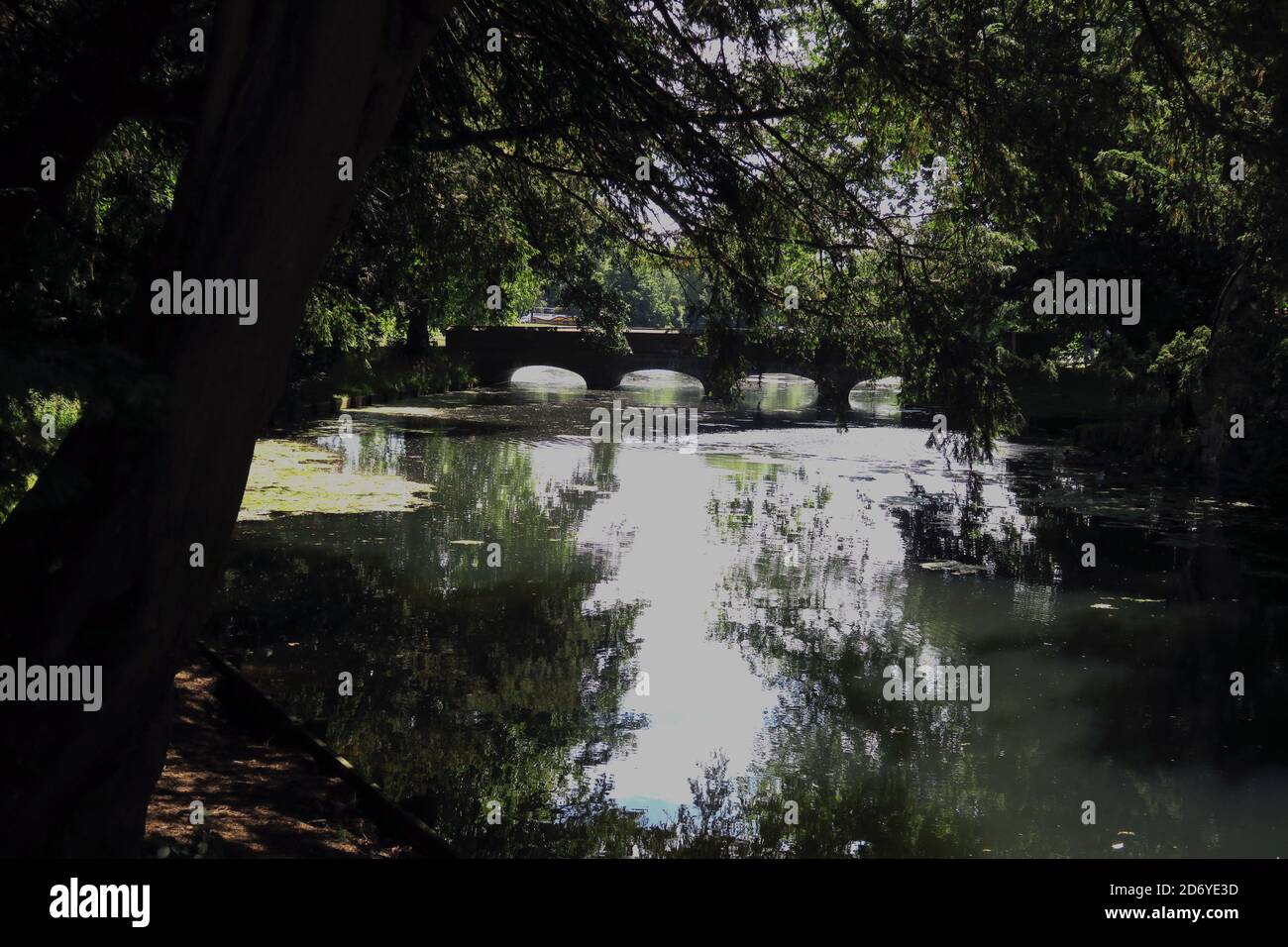 River Cam on Audley House Estate Stock Photo