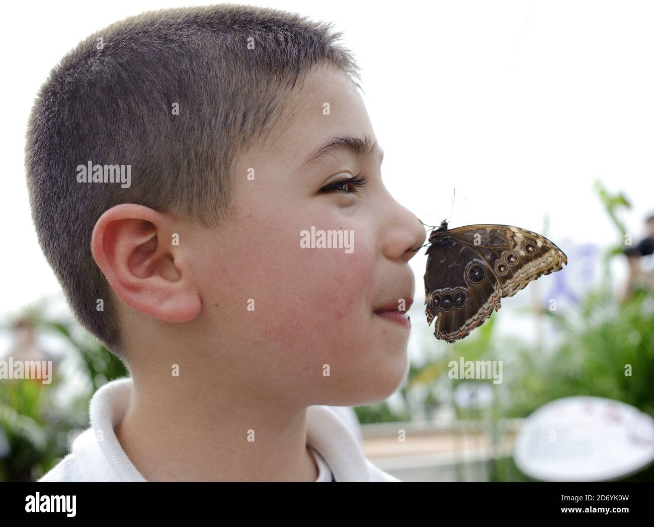 Year 1 pupil Baran, from the Nightingale Primary school in Hackney, pictured at 'Sensational Butterflies', a new exhibition featuring hundreds of tropical butterflies at the National History Museum in south Kensington, London. Stock Photo