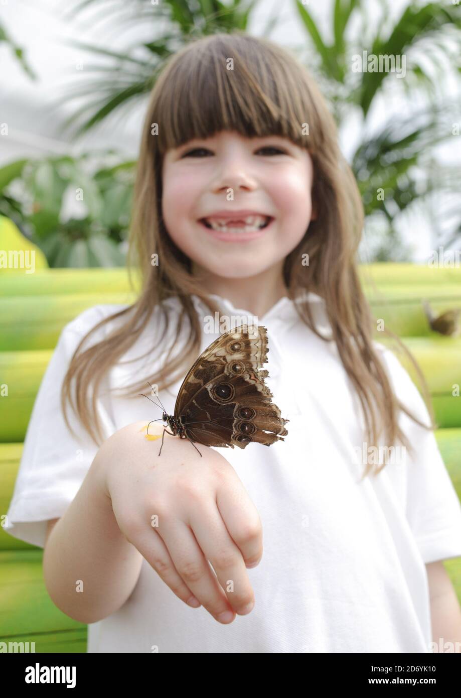 Year 1 pupil Sebina, from the Nightingale Primary school in Hackney, pictured at 'Sensational Butterflies', a new exhibition featuring hundreds of tropical butterflies at the National History Museum in south Kensington, London. Stock Photo