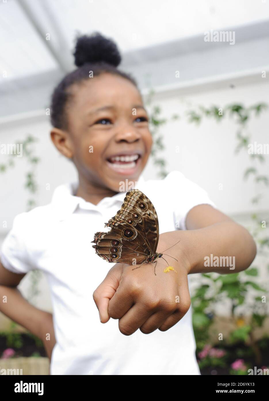Year 1 pupil Lovetta, from the Nightingale Primary school in Hackney, pictured at 'Sensational Butterflies', a new exhibition featuring hundreds of tropical butterflies at the National History Museum in south Kensington, London. Stock Photo