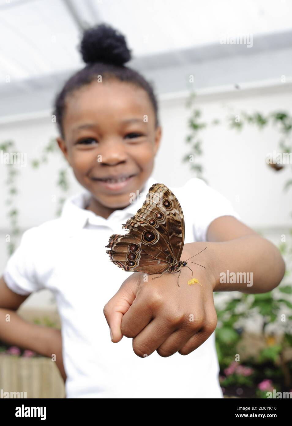 Year 1 pupil Lovetta, from the Nightingale Primary school in Hackney, pictured at 'Sensational Butterflies', a new exhibition featuring hundreds of tropical butterflies at the National History Museum in south Kensington, London. Stock Photo