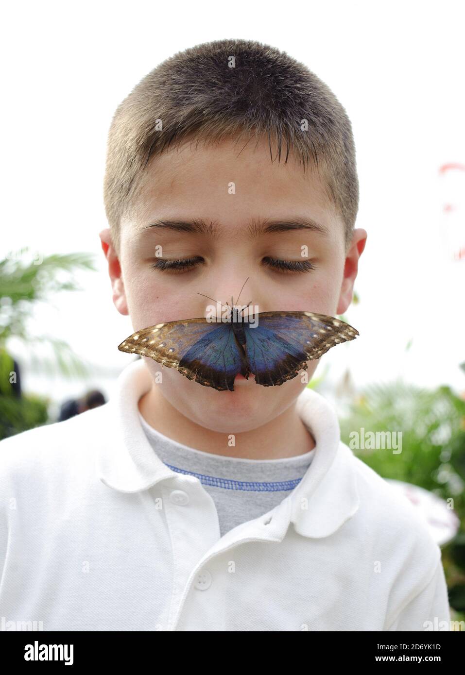 Year 1 pupil Baran, from the Nightingale Primary school in Hackney, pictured at 'Sensational Butterflies', a new exhibition featuring hundreds of tropical butterflies at the National History Museum in south Kensington, London. Stock Photo