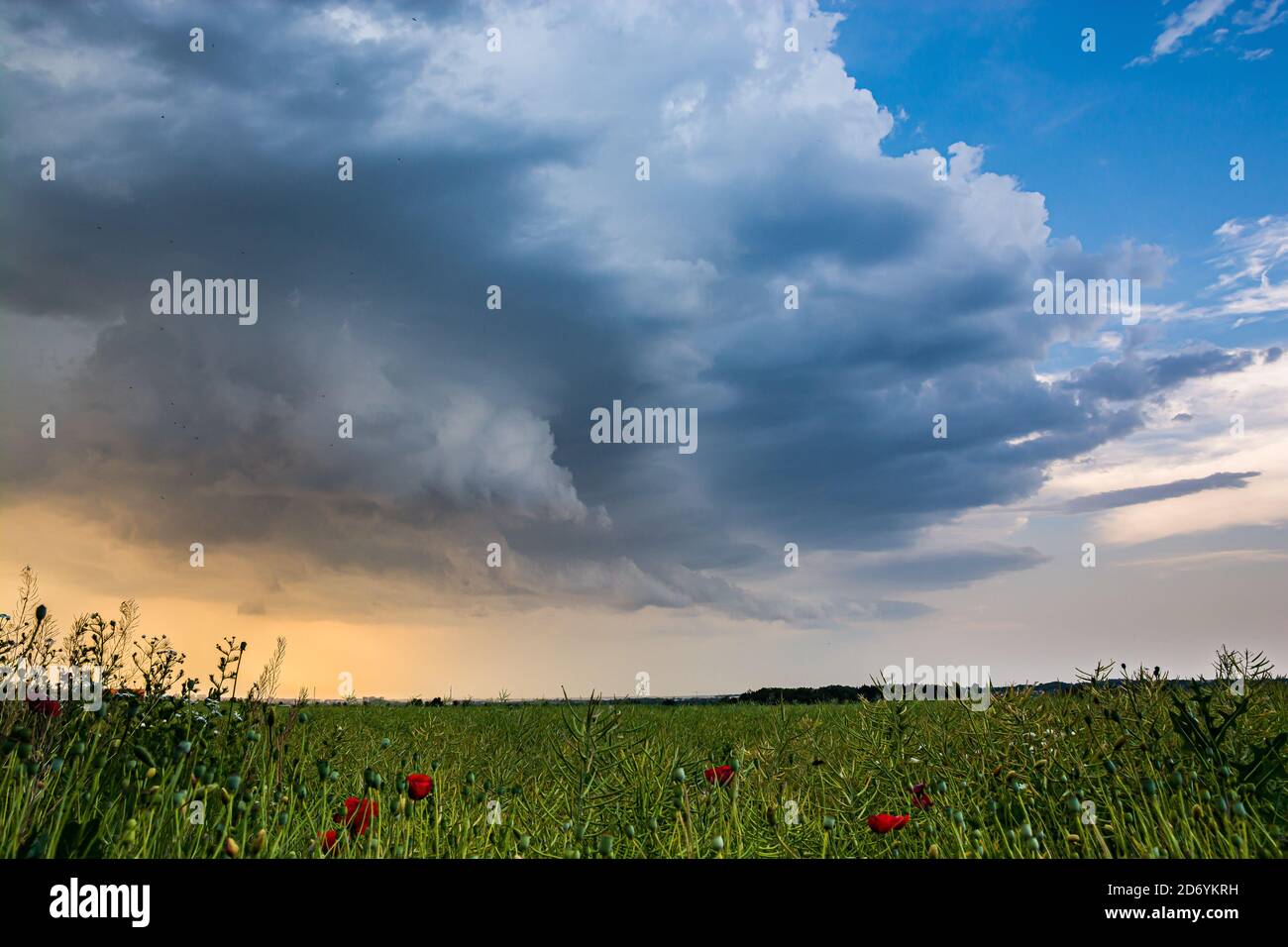 Shelfcloud bringing summer storm above field near Prague Stock Photo