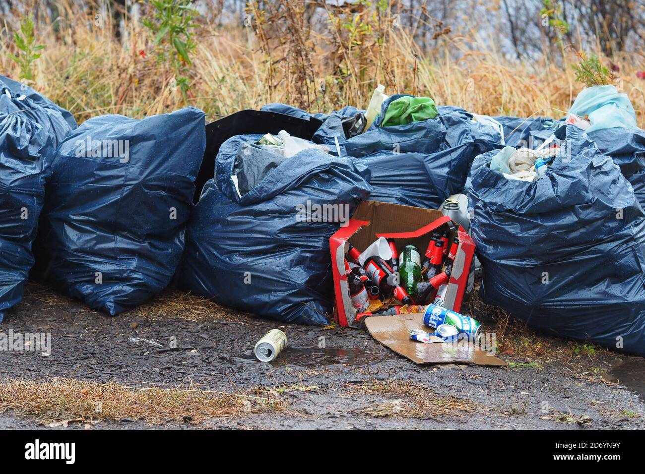 Garbage dump in the woods. It's an environmental problem Stock Photo ...