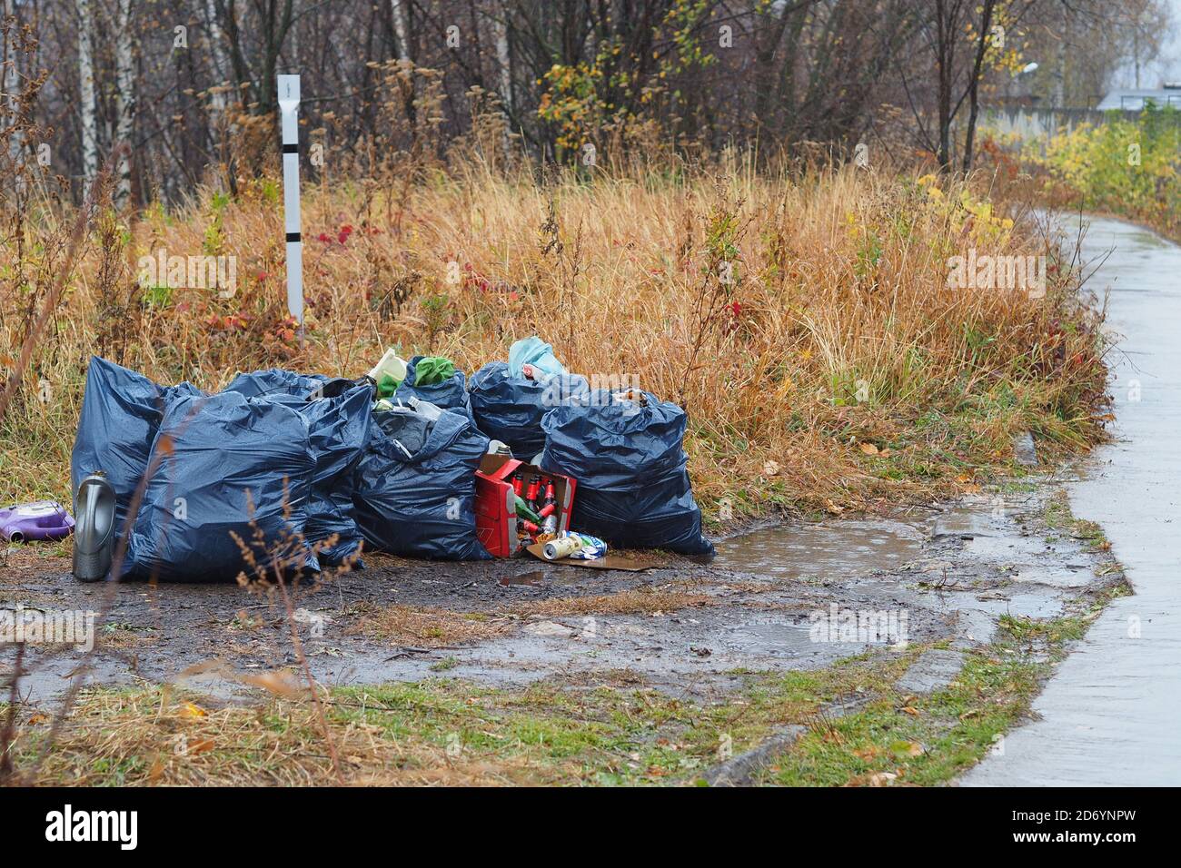 Garbage dump in the woods. It's an environmental problem Stock Photo ...