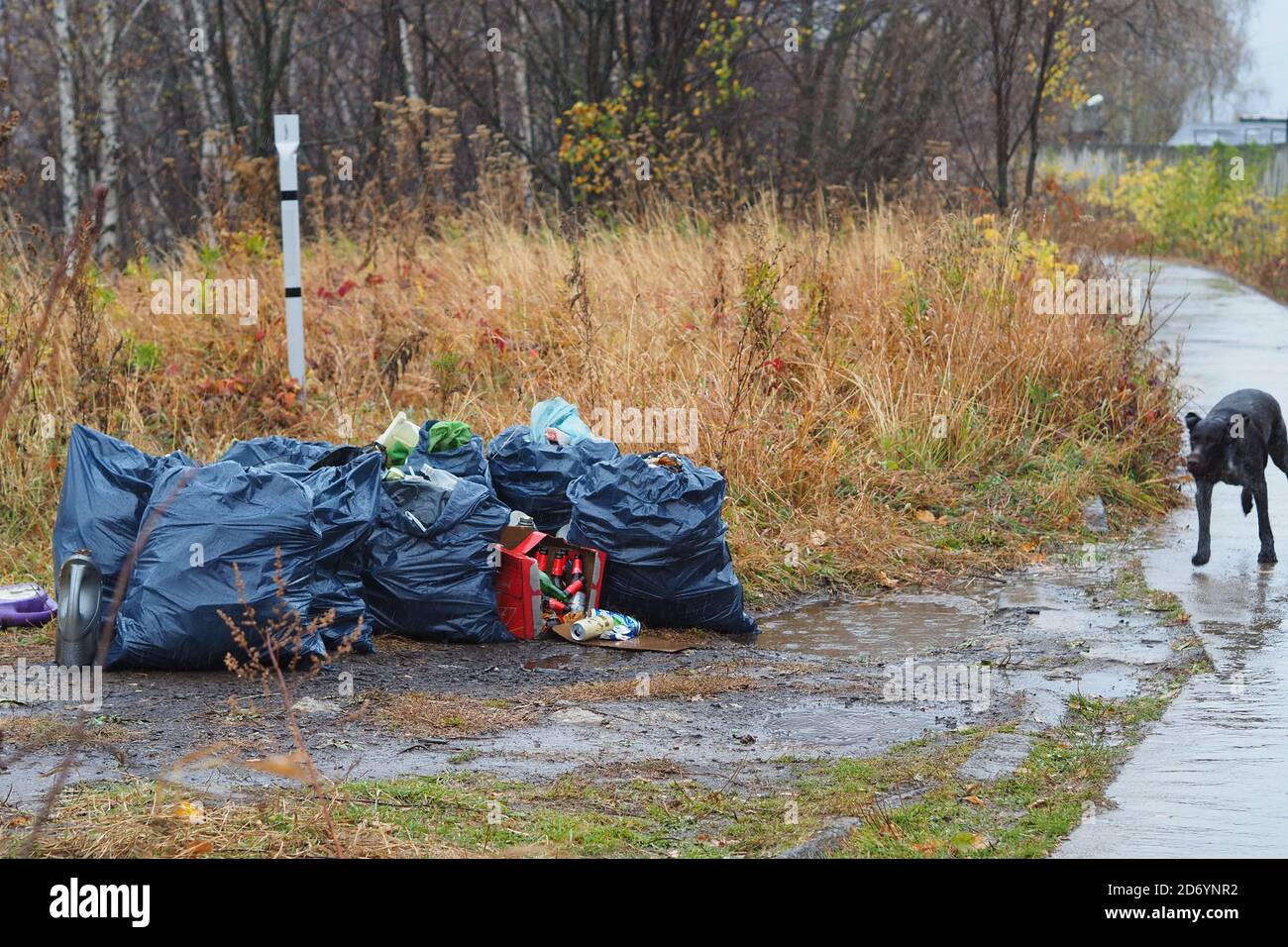 Garbage dump in the woods hires stock photography and images Alamy