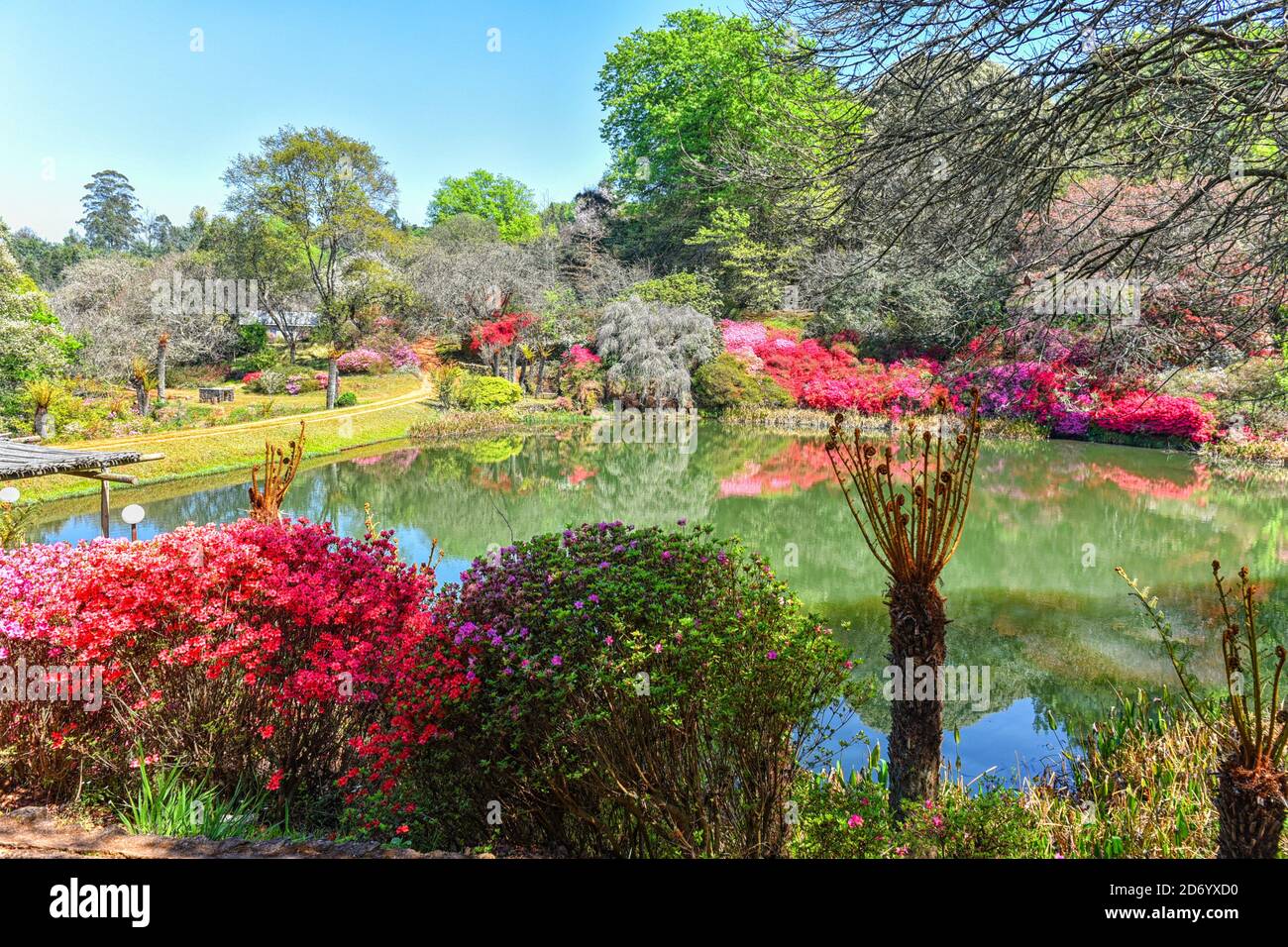 Nature at the Cheerio Gardens, Tzaneen, South Africa Stock Photo