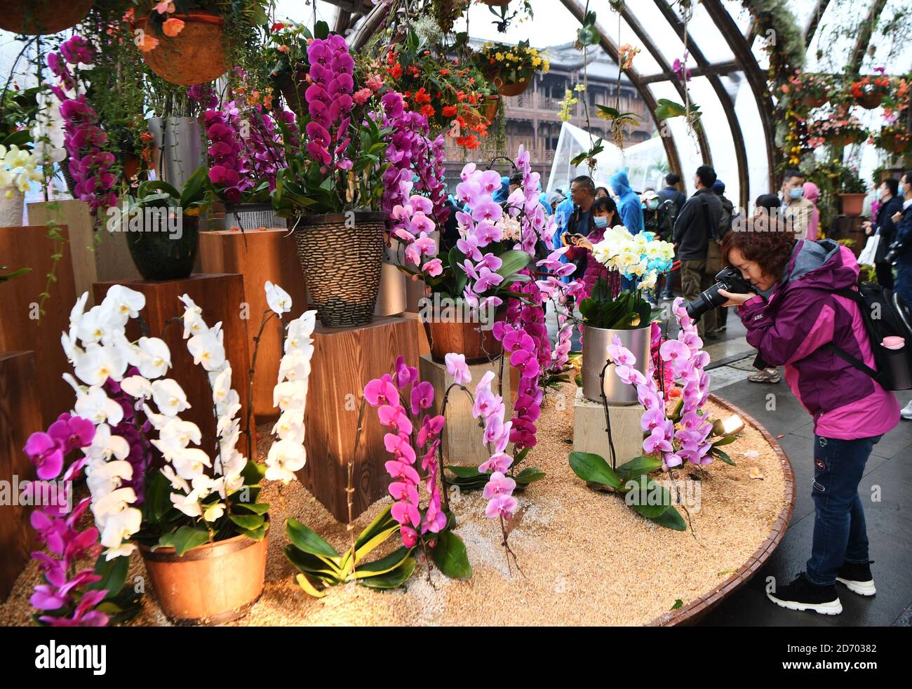 Chongqing, Oct. 20. 29th Oct, 2020. People visit a floral art expo in Chongqing, southwest China, Oct. 20, 2020. The expo kicked off on Tuesday in Chongqing and will last till Oct. 29, 2020. Credit: Wang Quanchao/Xinhua/Alamy Live News Stock Photo