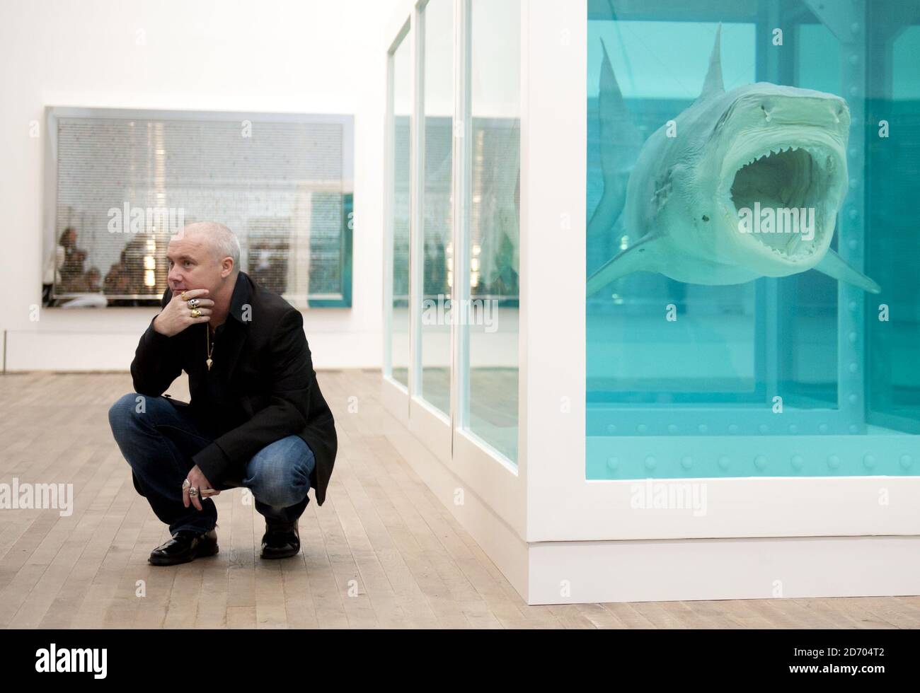 Damien hirst shark hi-res stock photography and images - Alamy