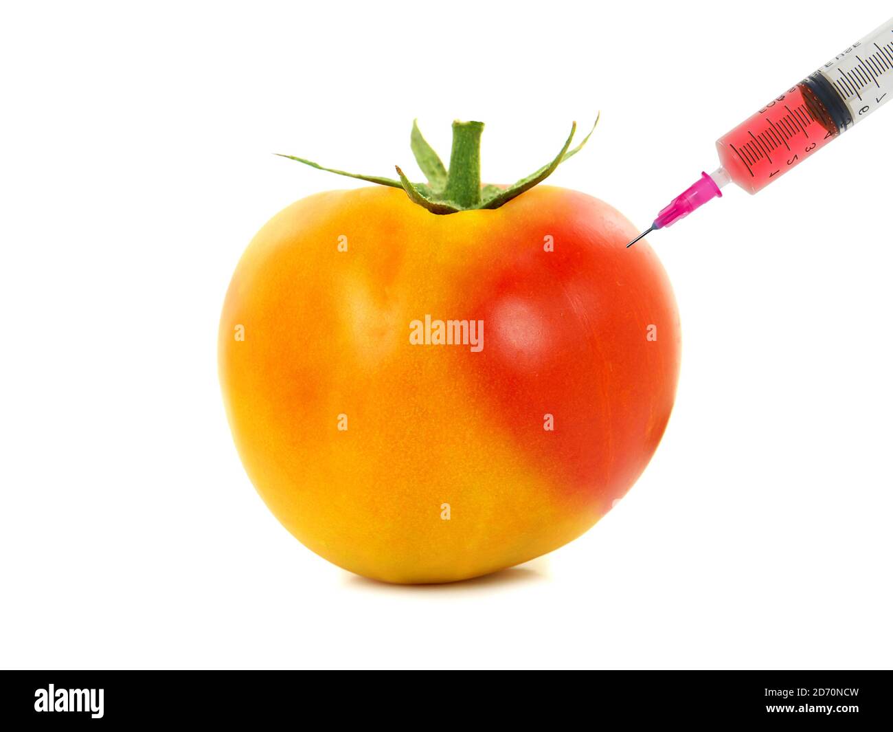 Syringe stuck in a tomato, concept of modification of vegetable