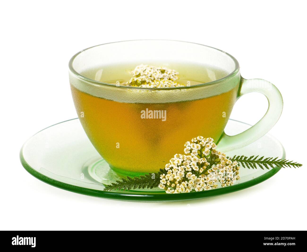 Yarrow tea in a glass cup with fresh yarrow flowers Stock Photo