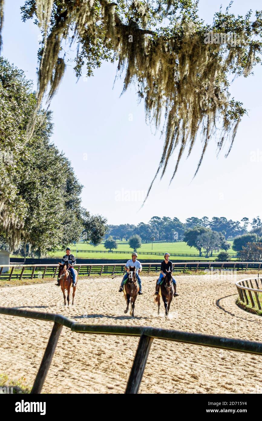 Florida Ocala Racehorse Stud stable training yearling thoroughbred racehorses,jockey jockeys rider riders dirt race track, Stock Photo