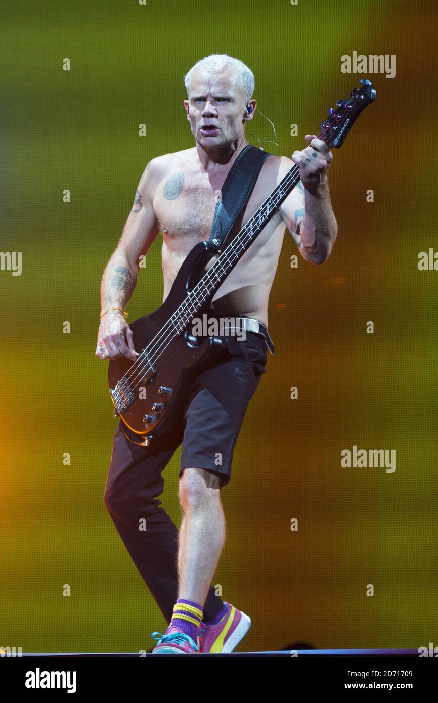 Flea from the Red Hot Chili Peppers performing at Isle of Wight Festival, at Newport on the Isle of Wight Stock Photo - Alamy