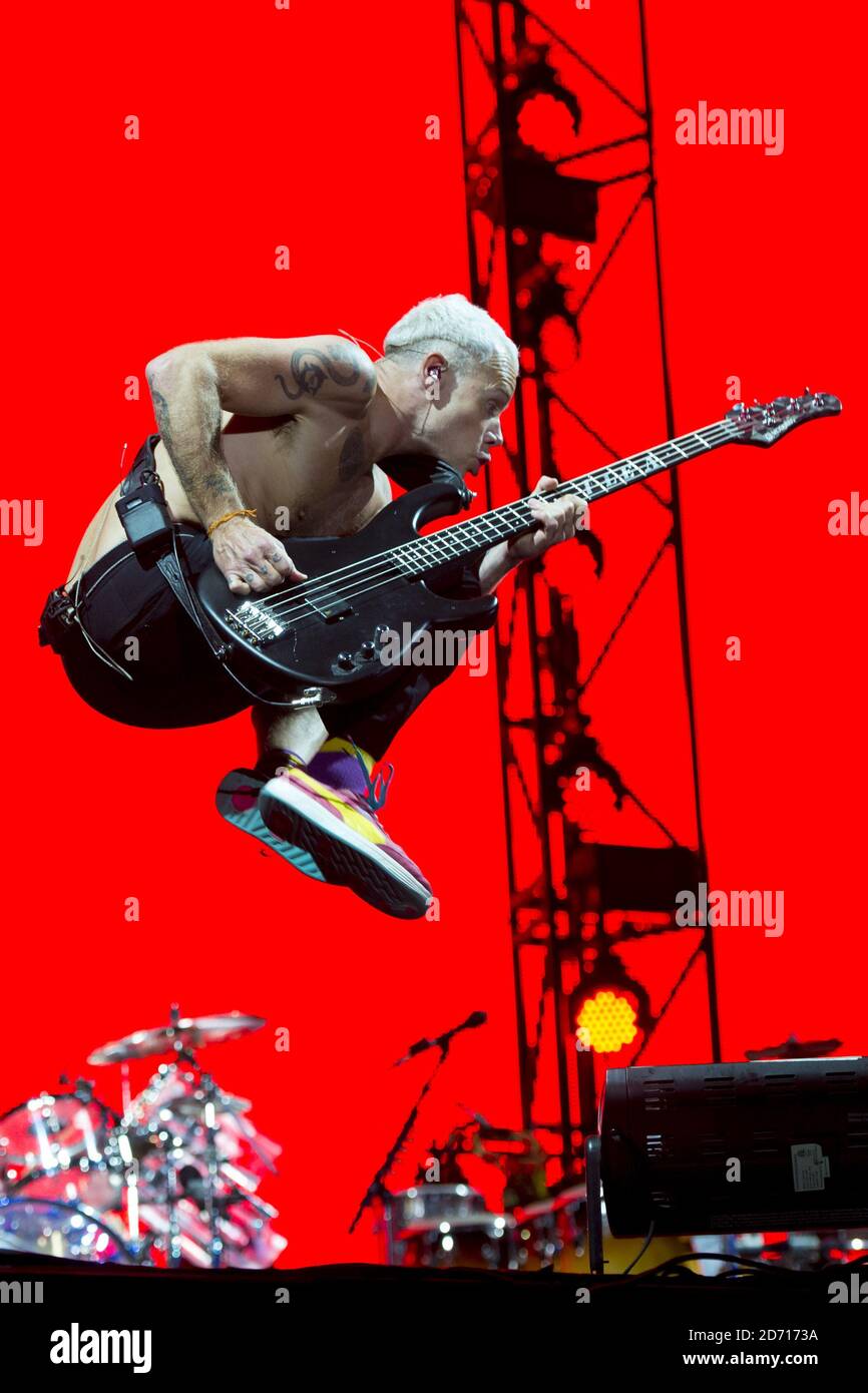 6,145 Flea Of Red Hot Chilli Peppers Stock Photos, High-Res Pictures, and  Images - Getty Images