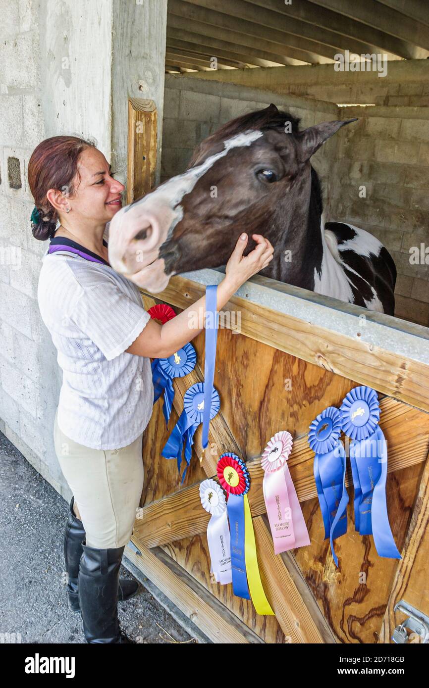 Miami Florida,Tropical Park,Heritage Horse Show,woman female grooming