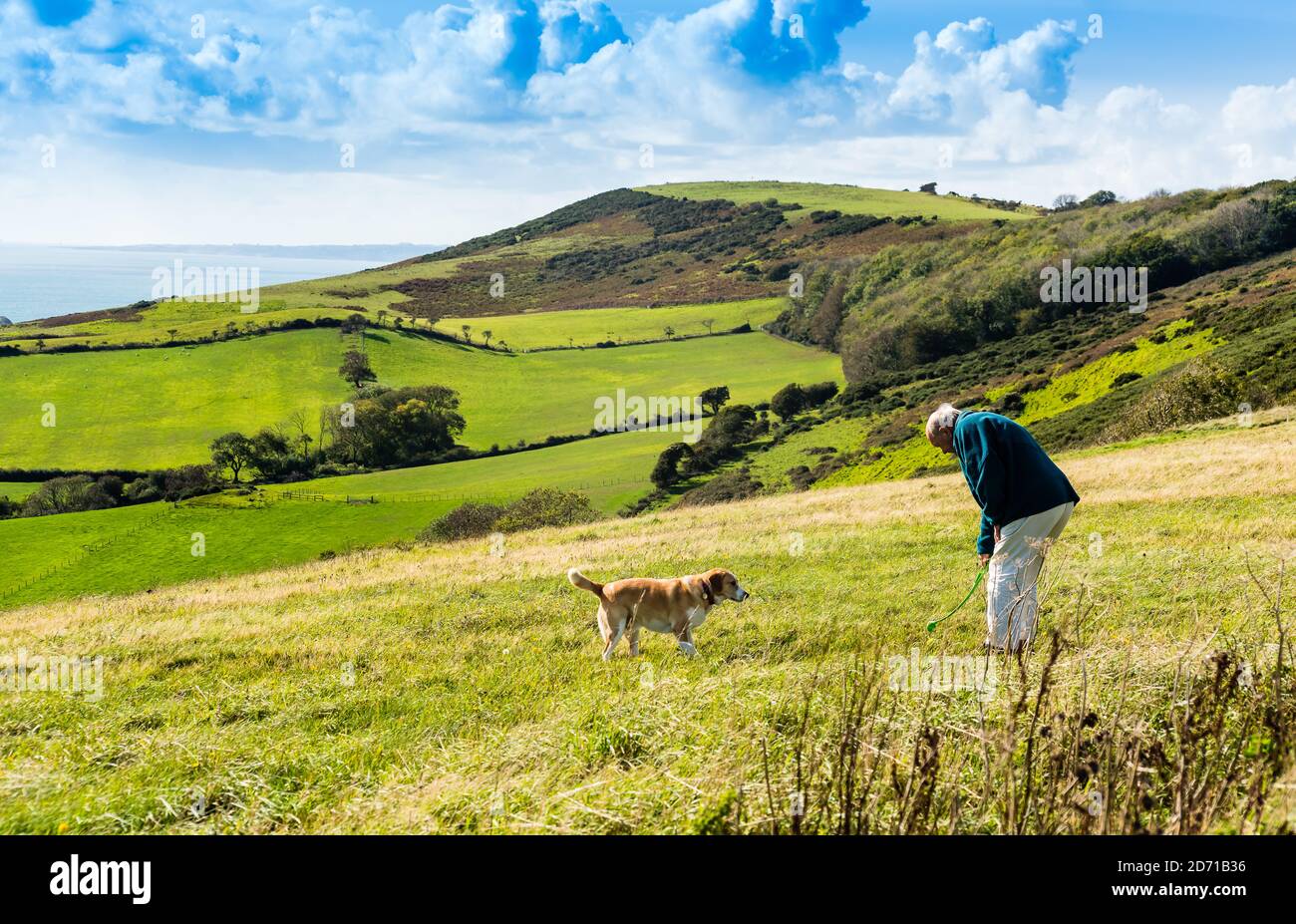 The Purbeck Hills. Stock Photo