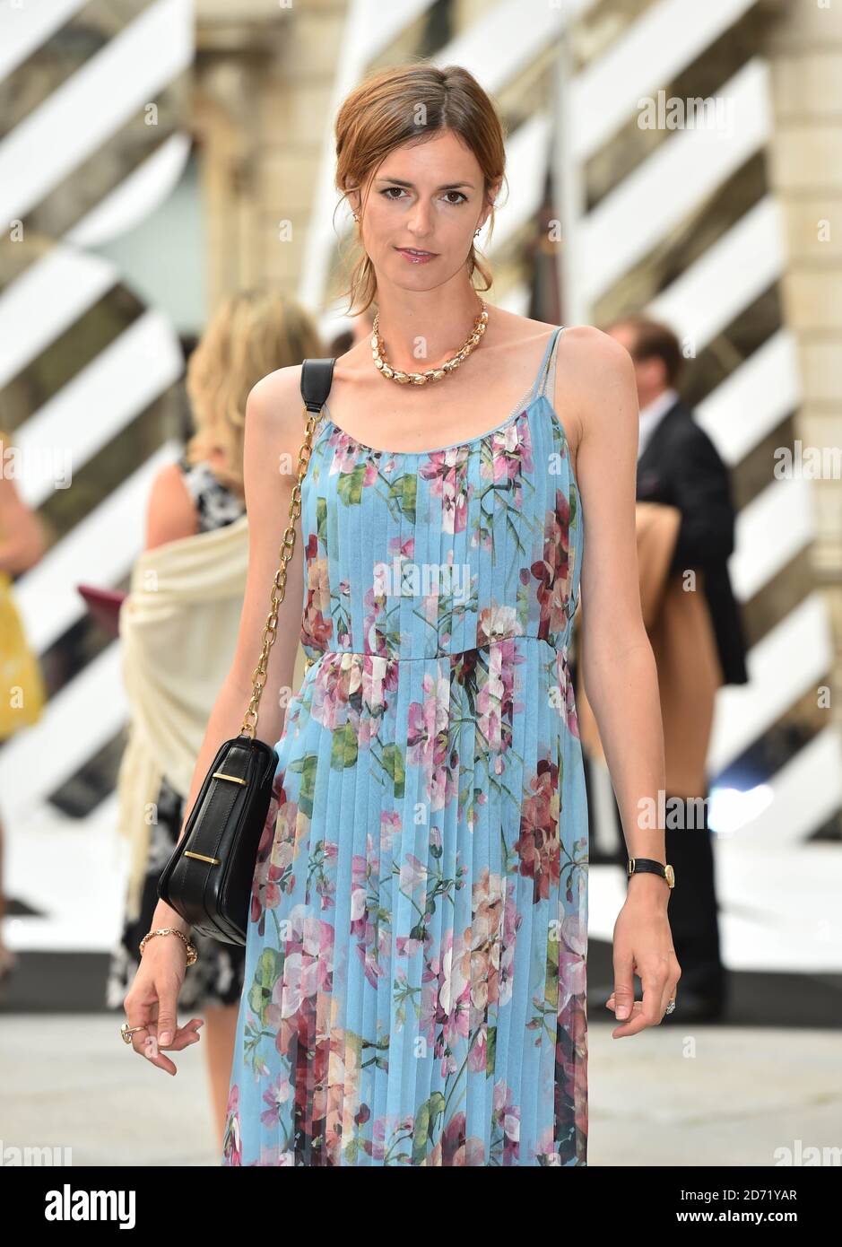 Saffron aldridge attending the royal academy summer preview party hi