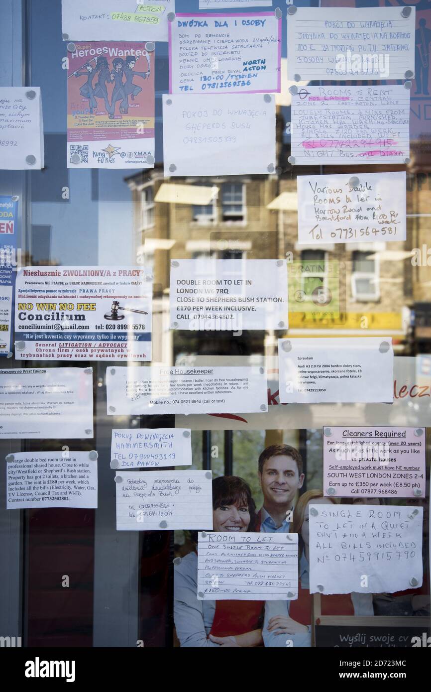 Job and accommodation adverts in a mixture of Polish and English, at a Polish supermarket in Shepherd's Bush, west London. September 30th will mark 100 days since the UK voted to leave the EU, during which time immigration from Eastern Europe, and reported anti-immigrant hate crimes, have both increased. Stock Photo