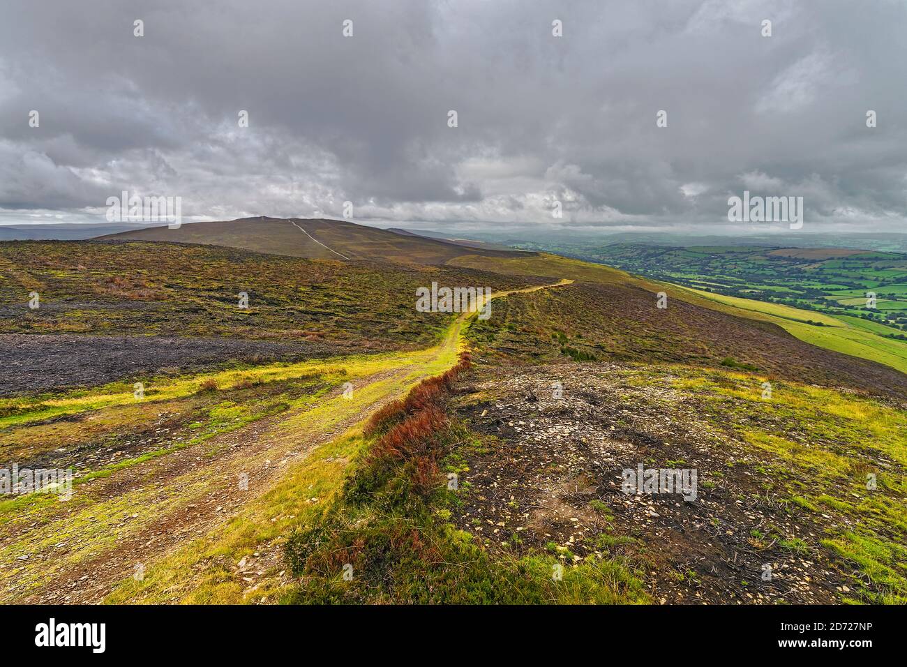 Llantysilio Mountain looking west from Moel y Faen towards Moel y Gamelin showing burnt areas from devastating fire in the summer of 1918 North Wales Stock Photo