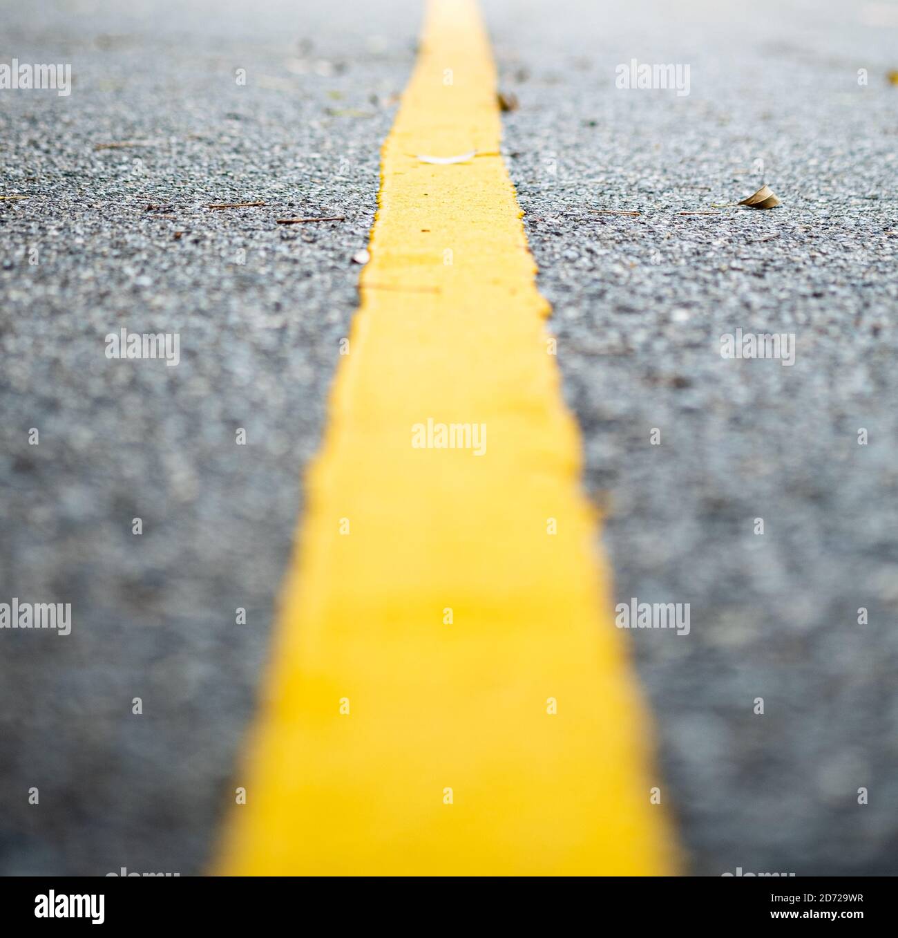 Close up view of a single yellow line on the road in soft focus, one point perspective view. Stock Photo