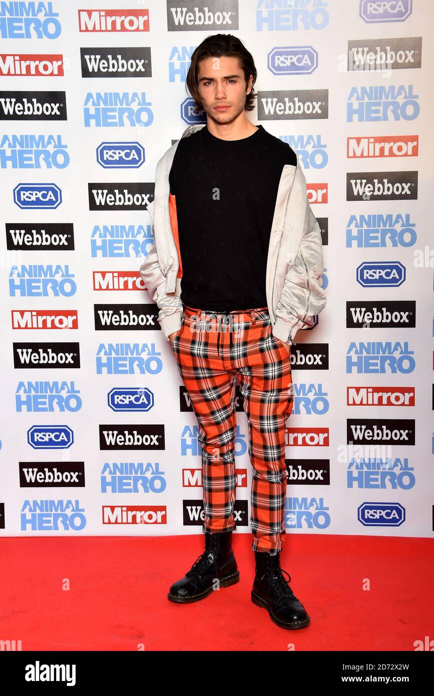 George Shelley attending the Animal Hero Awards held at the Grosvenor House Hotel, London Stock Photo