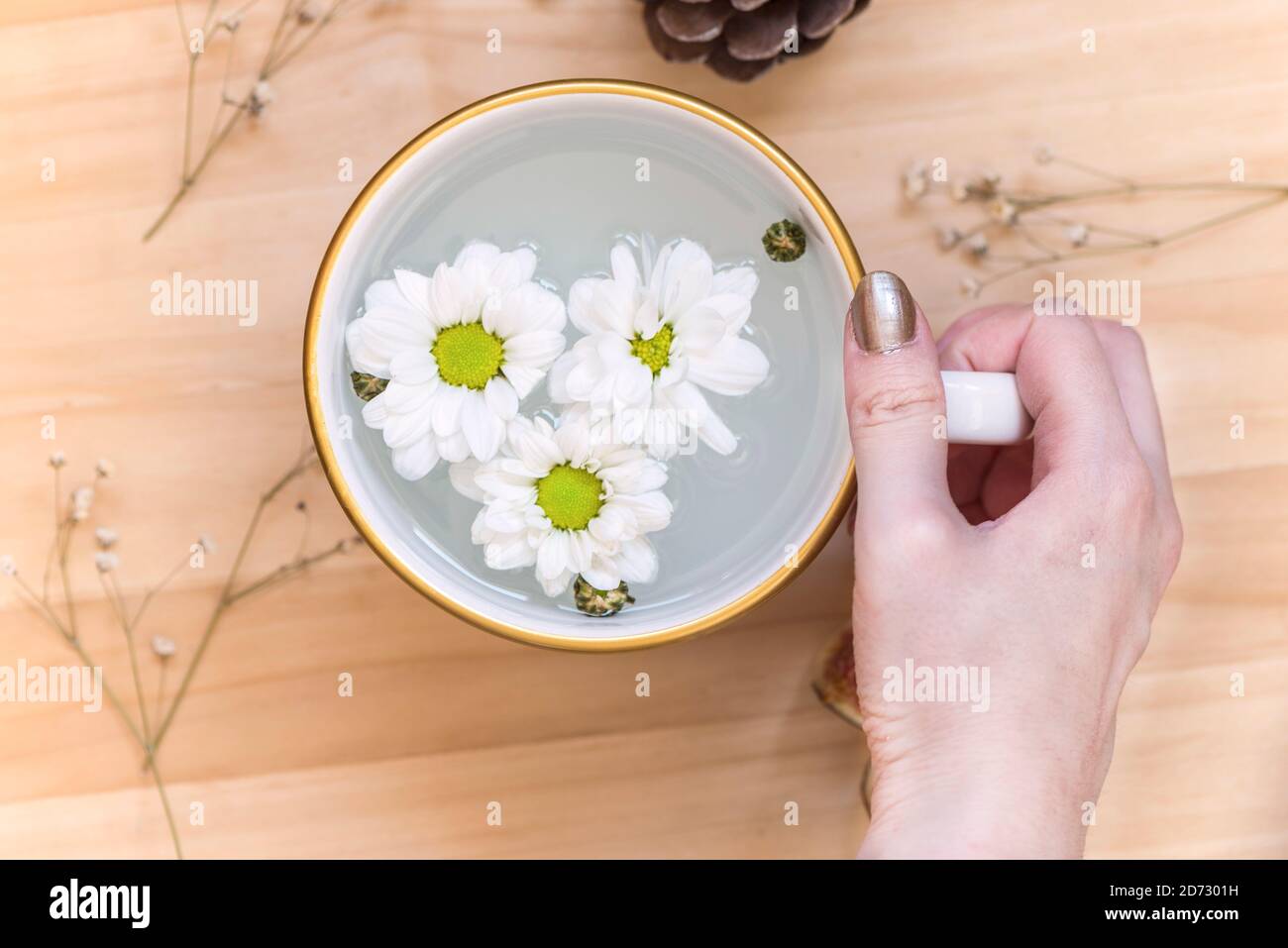 Hands of an Old Woman Holding Daisy Flowers. the Concept of Longevity.  Seniors Day Stock Image - Image of seniors, wrinkled: 159510259