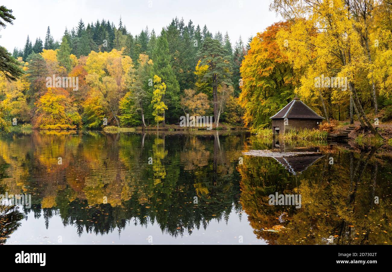 Pitlochry, Scotland, UK. 20 October 2020. Autumn colours at Loch Dunmore in Faskally Wood near Pitlochry in Perthshire. Iain Masterton/Alamy Live News Stock Photo