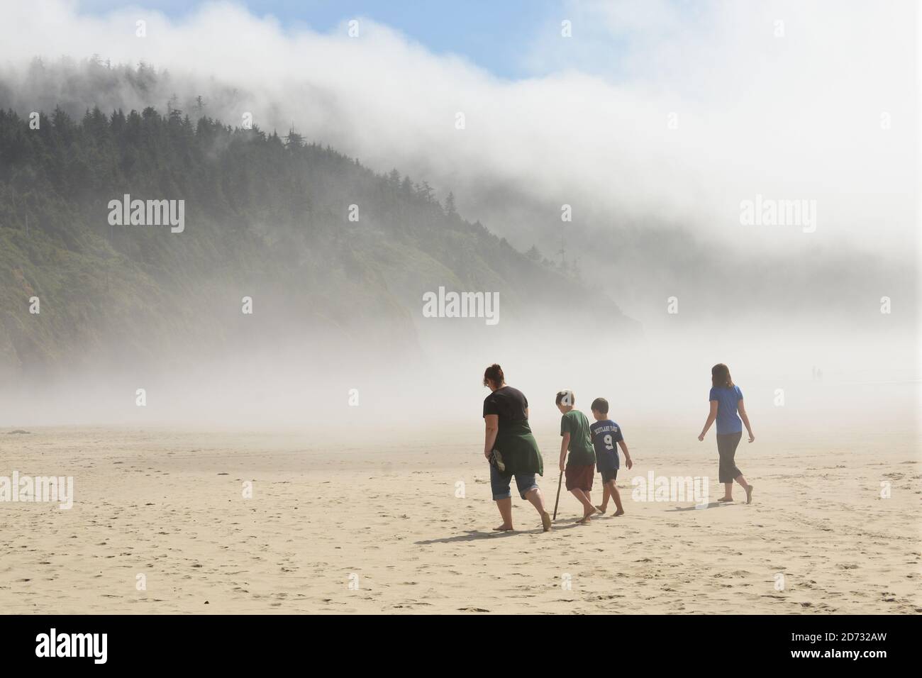 Cape Lookout State Park, Oregon, USA; Pacific Ocean. Stock Photo