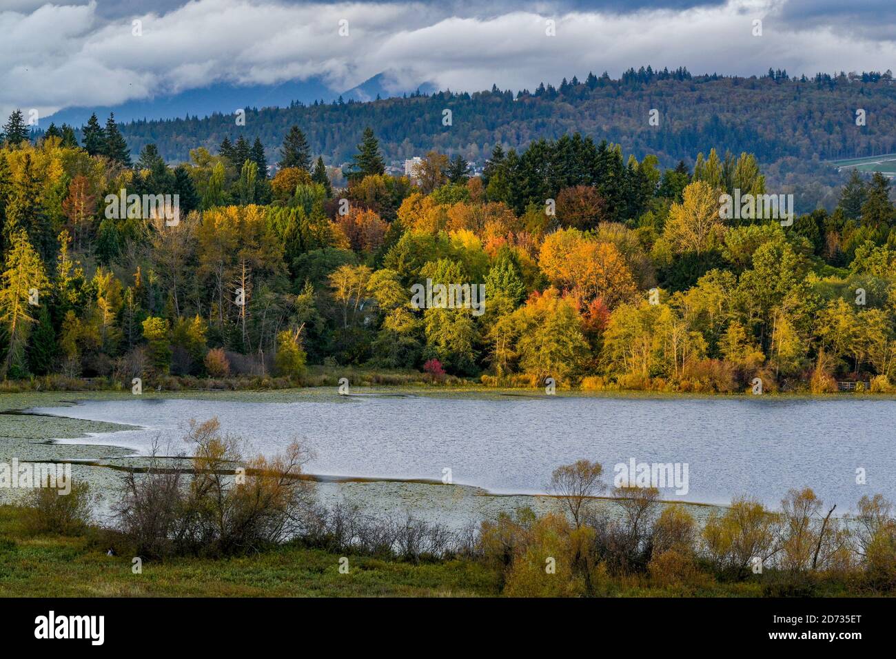 Fall colour, Deer Lake Park, Burnaby, British Columbia, Canada Stock ...