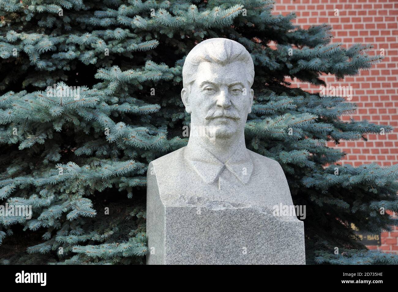 = Bust of Joseph Stalin in the Background of a Pine Tree =  The light grey granite bust (tombstone) of Soviet leader, Joseph Stalin (Iosif Dzhugashvil Stock Photo