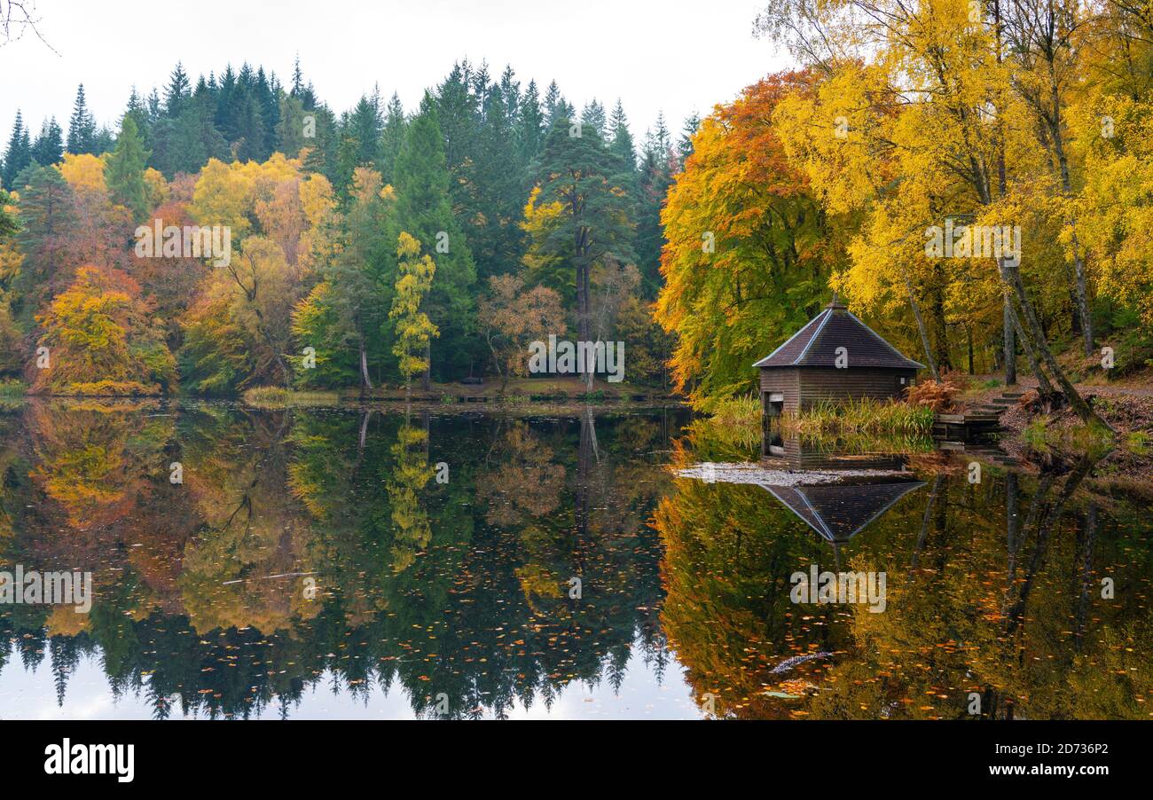 Pitlochry, Scotland, UK. 20 October 2020. Autumn colours at Loch Dunmore in Faskally Wood near Pitlochry in Perthshire. Iain Masterton/Alamy Live News Stock Photo