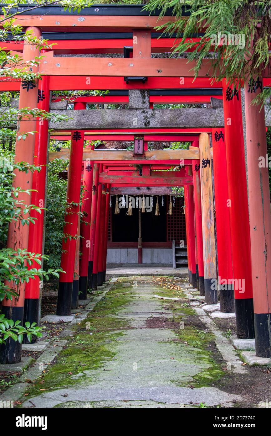 A traditional Japanese gate as the entrance of a Shinto shrine Stock