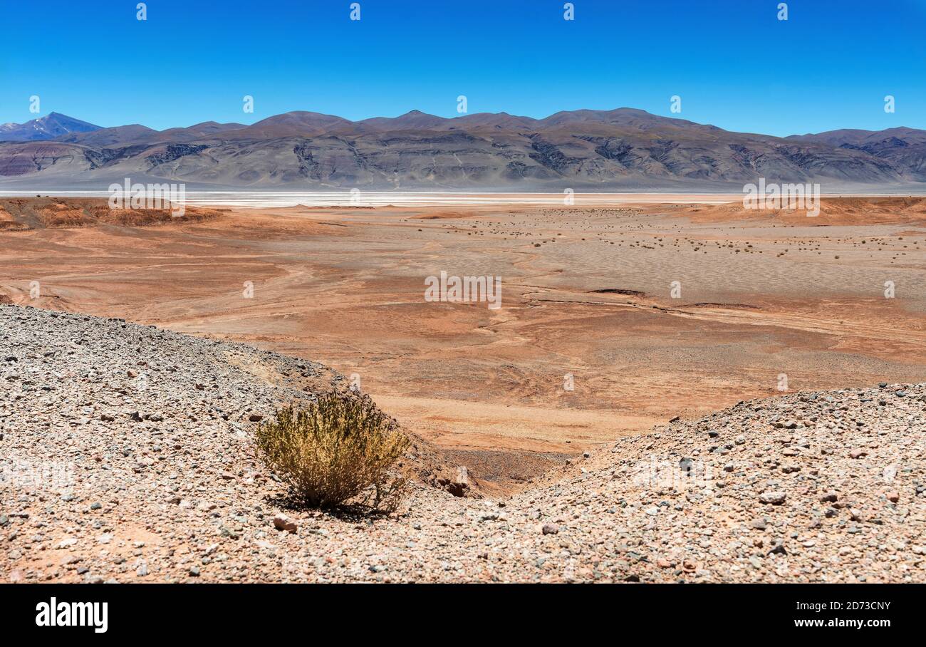 The salt flats Salar de Pocitos in the Argentinian Altiplano. South